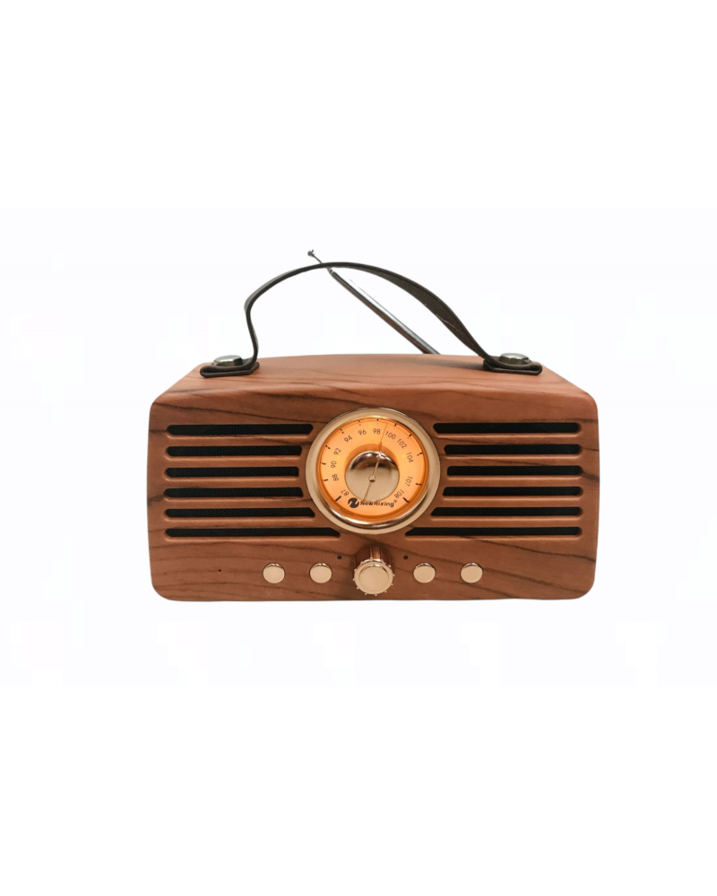 Bluetooth Speaker + Radio NR-4013